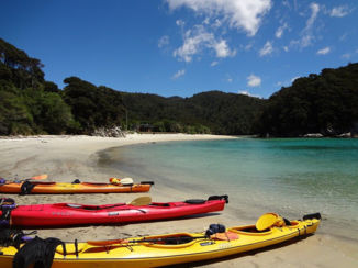Nieuw-Zeeland - Kajakken in Abeltasman