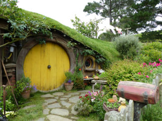 Nieuw-Zeeland - Feel like a hobbit in Hobbiton