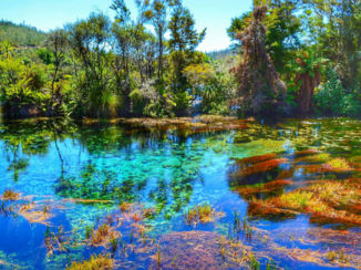 Te Waikoropupu Springs - Te Waikoropupu Springs
