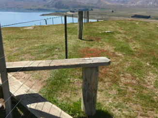 Lake Tekapo - Stukkie wandelen