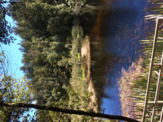 Zuidereiland - Mooie natuur bij een mooi meer