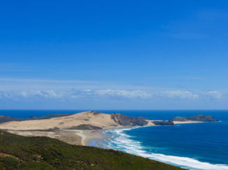 Nieuw-Zeeland - Kaap Maria van Diemen