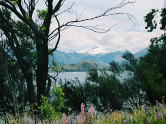 Nieuw-Zeeland - Lake Wanaka