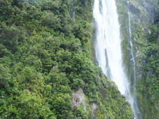 Nieuw-Zeeland - Milford Sound waterfall