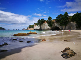 Nieuw-Zeeland - Cathedral cove NZ