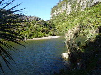 Nieuw-Zeeland - Punakaiki