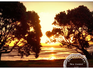 Nieuw-Zeeland - Cormandel, koputauaki