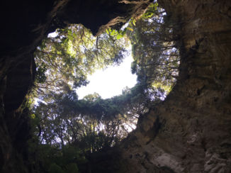 Nieuw-Zeeland - Blowhole