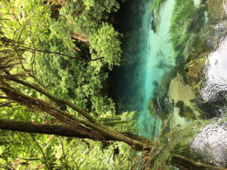 Nieuw-Zeeland - Blue springs