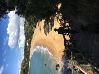 Nieuw-Zeeland - Abel tasman