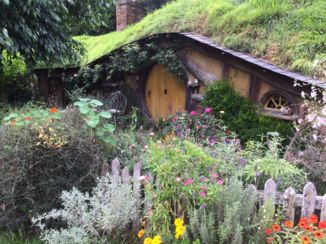 Hobbiton - Hobbit huis