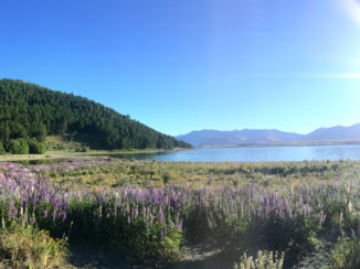 Nieuw-Zeeland - Lake Tekapo, Zuider eiland