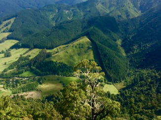 Nieuw-Zeeland - Hill top view