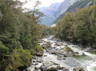 Nieuw-Zeeland - Road to Milford Sound