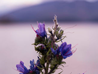 Nieuw-Zeeland - Prachtige zonsondergangen