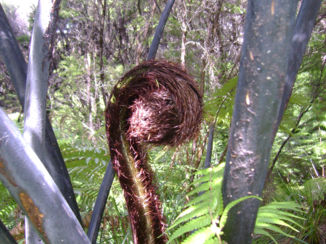 Abel Tasman National Park