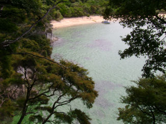 Abel Tasman National Park