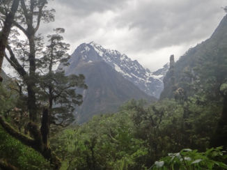 Nieuw-Zeeland - Onderweg naar MilfortSound