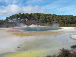 Nieuw-Zeeland - Champagne Lake, Rotorua