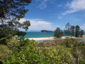 Nieuw-Zeeland - Abel Tasman National Park