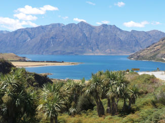 Nieuw-Zeeland - Lake Wanaka