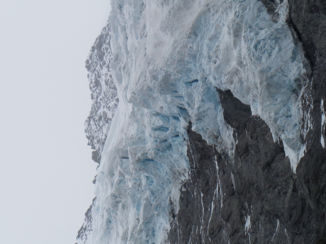 Nieuw-Zeeland - Rob Roy Gletsjer