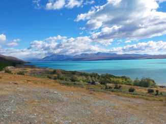 Nieuw-Zeeland - Lake Pukaki