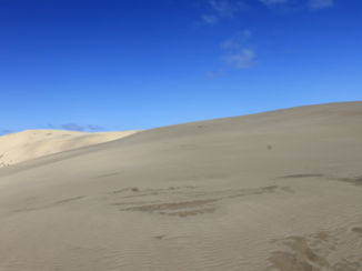 Nieuw-Zeeland - Naar beneden surfen op de enorme zandduinen.