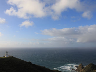 Nieuw-Zeeland - Het meest noordelijke puntje van NZ. Cape Reinga!