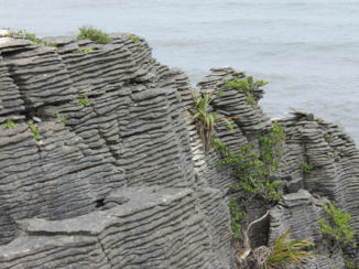 Nieuw-Zeeland - sneak peak van de pancake rocks