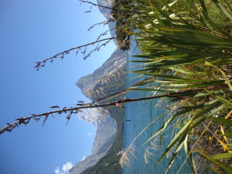 Nieuw-Zeeland - Milford Sount