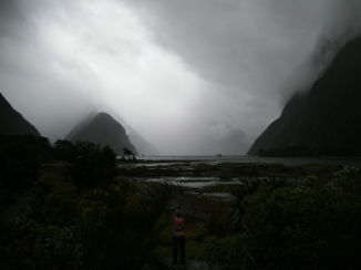 Nieuw-Zeeland - Milford Sound