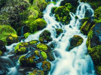 Nieuw-Zeeland - Waitonga Falls