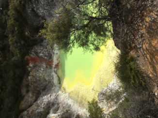 Nieuw-Zeeland - Rotorua