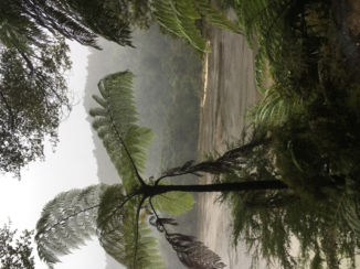 Nieuw-Zeeland - Abel tasman