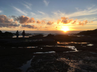 Nieuw-Zeeland - Punekaki