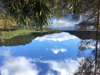 Nieuw-Zeeland - Rotorua