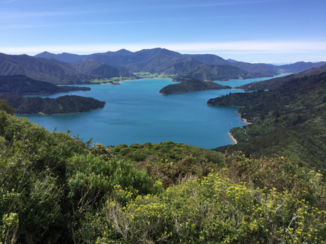 Marlborough Sounds