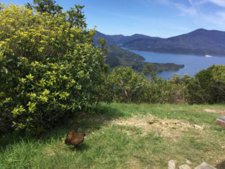 Marlborough Sounds