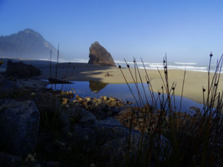 Nieuw-Zeeland - Heaphy Track