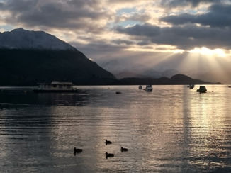 Nieuw-Zeeland - Lake Wanaka