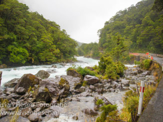 Milford Sound Highway - Road to Milford Sound