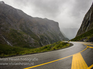 Milford Sound Highway - Beautifull views at Milford Sound Highway