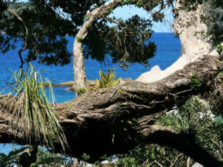 Nieuw-Zeeland - Walk too Cathedral Cove