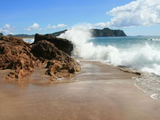 Nieuw-Zeeland - Hot watet beach hightide