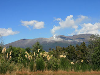 Nieuw-Zeeland - Smoking Mt. Ruapehu