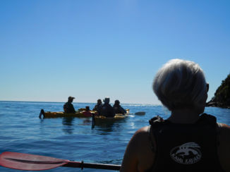 Nieuw-Zeeland - Abel Tasmanpark