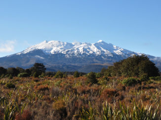 Nieuw-Zeeland - tongariro N.P