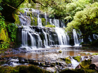 Nieuw-Zeeland - Purakanui falls