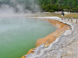 Nieuw-Zeeland - Champagne Pool, Rotorua